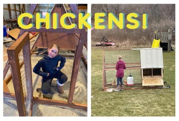 Does a Chick Need Help?