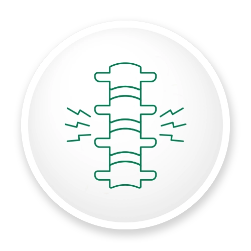 Back Pain Icon